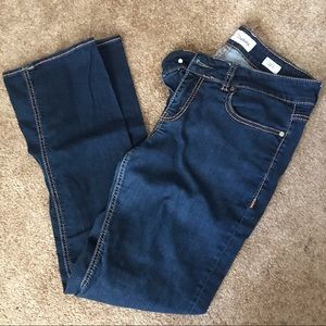 BKE Dakota Jeans